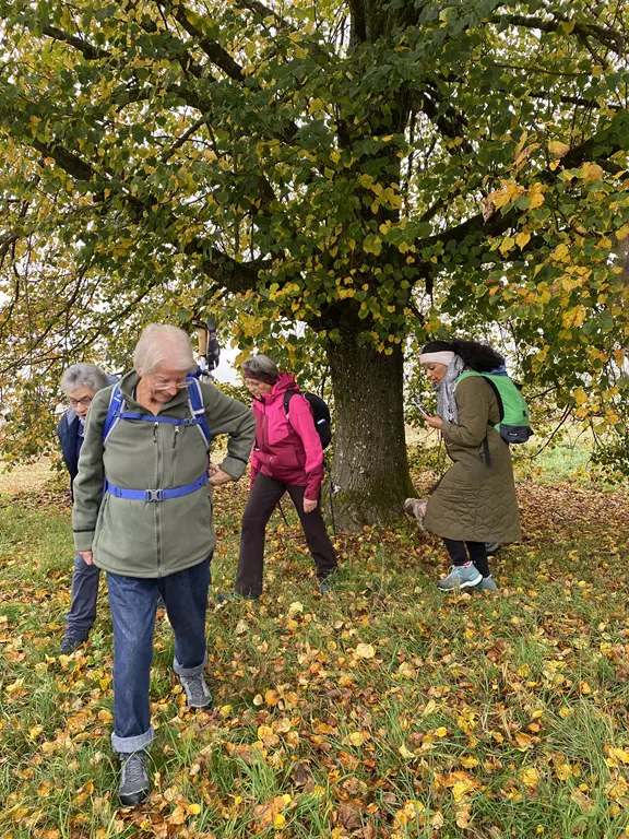 Erlebniswanderung mit Soulness Erlebniswanderung mit Soulness