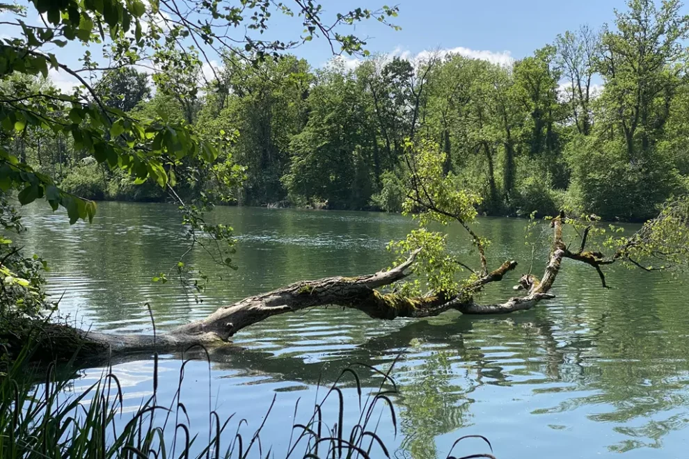 Middendorf-Atemtechniken für inneren Frieden