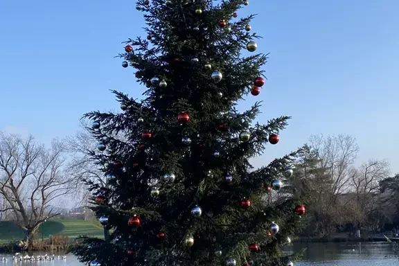 geschmückter Tannenbaum
