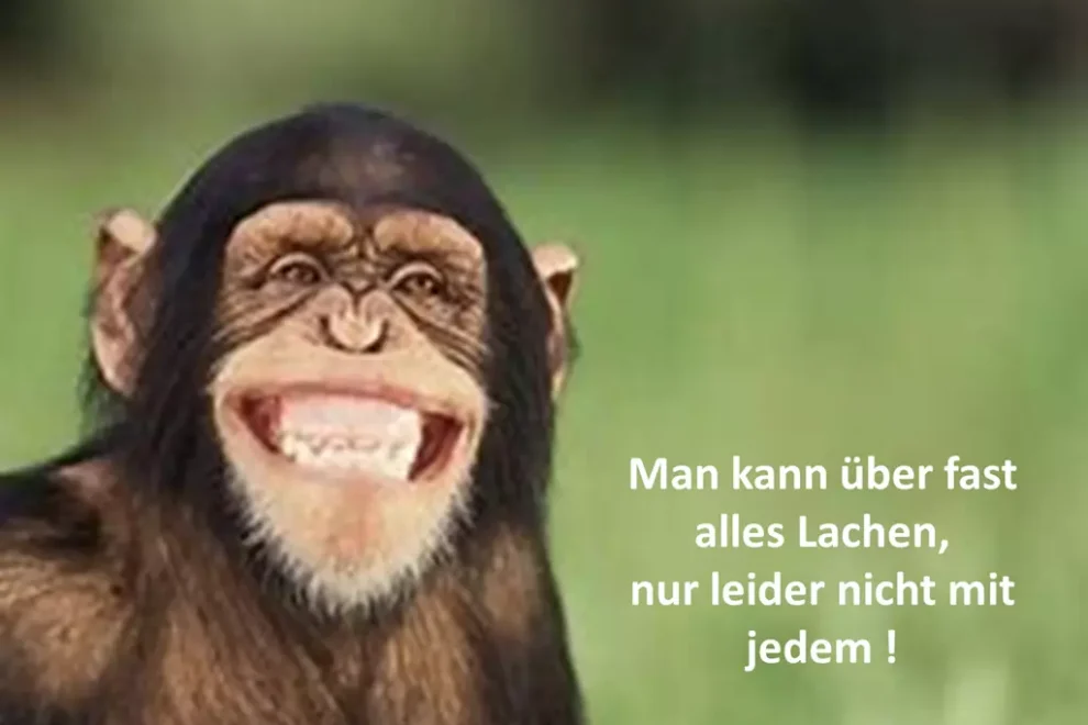 lachender Affe mit Text