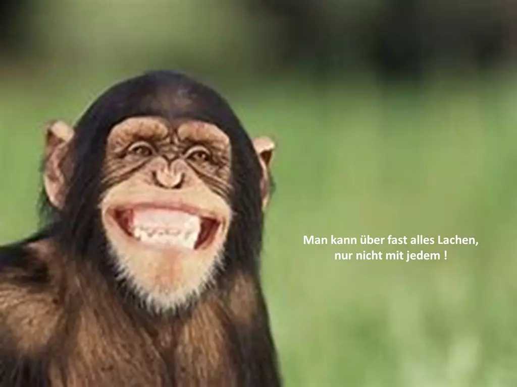 mit allen lachen lachender Affe mit Text
