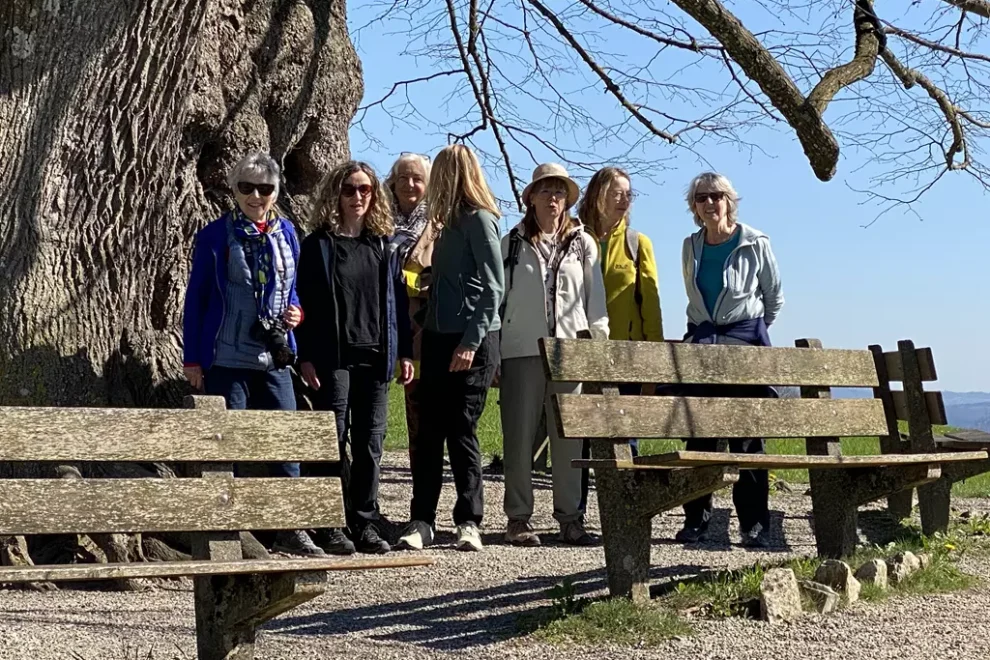 Wandergruppe Kraftbaumwanderung bei der Linde