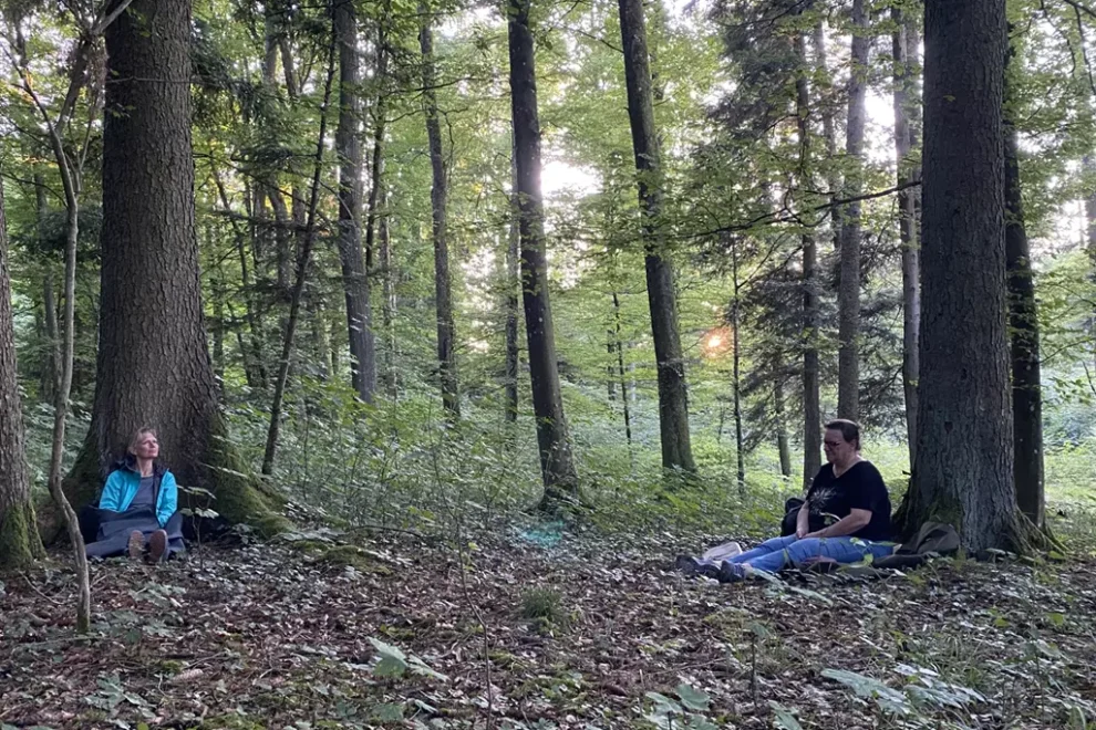 Naturmeditation in einer Vollmondnacht