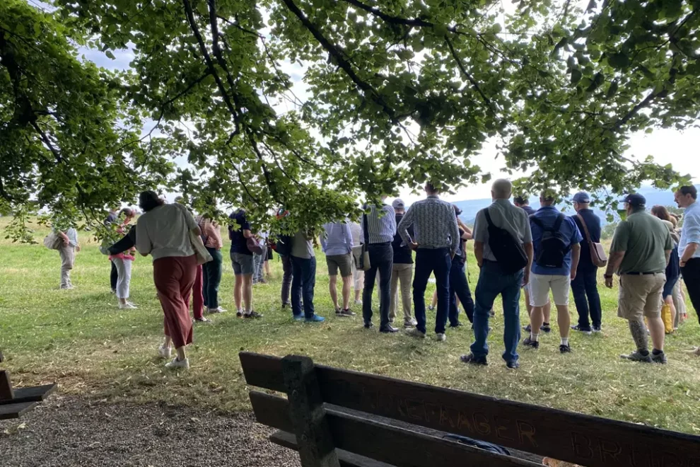 Parlamentarier unter der Linde