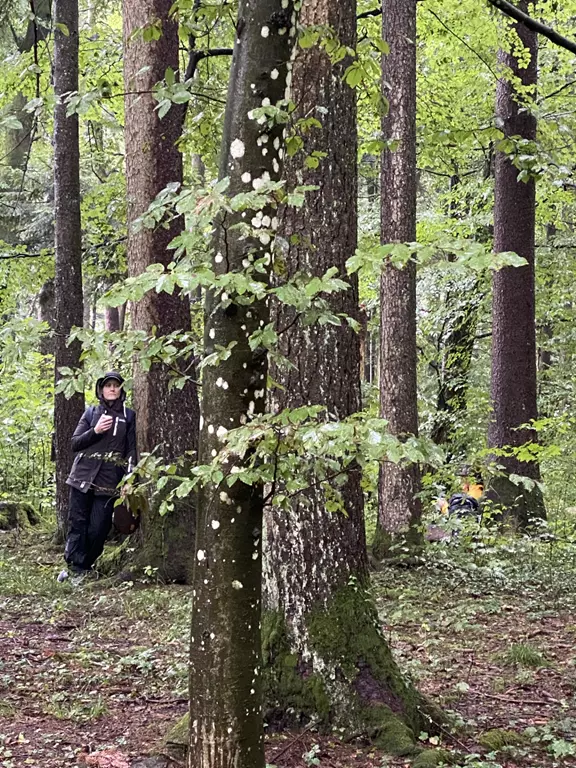 Nicole aus Distanz im Wald Nicole aus Distanz im Wald