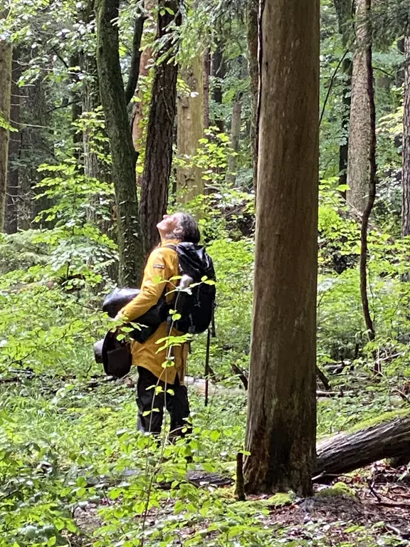 Paola staunend im Wald Paola staunend im Wald