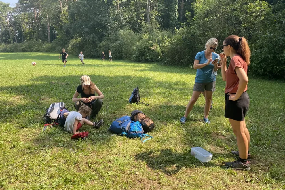 unterwegs mit Biene Gogo