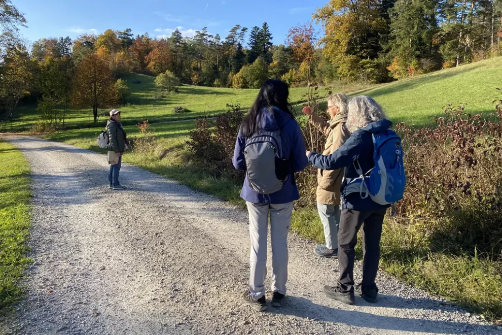bäumige Abschlusswanderung