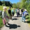 Wellness Tag zu Beltane mit Ritual