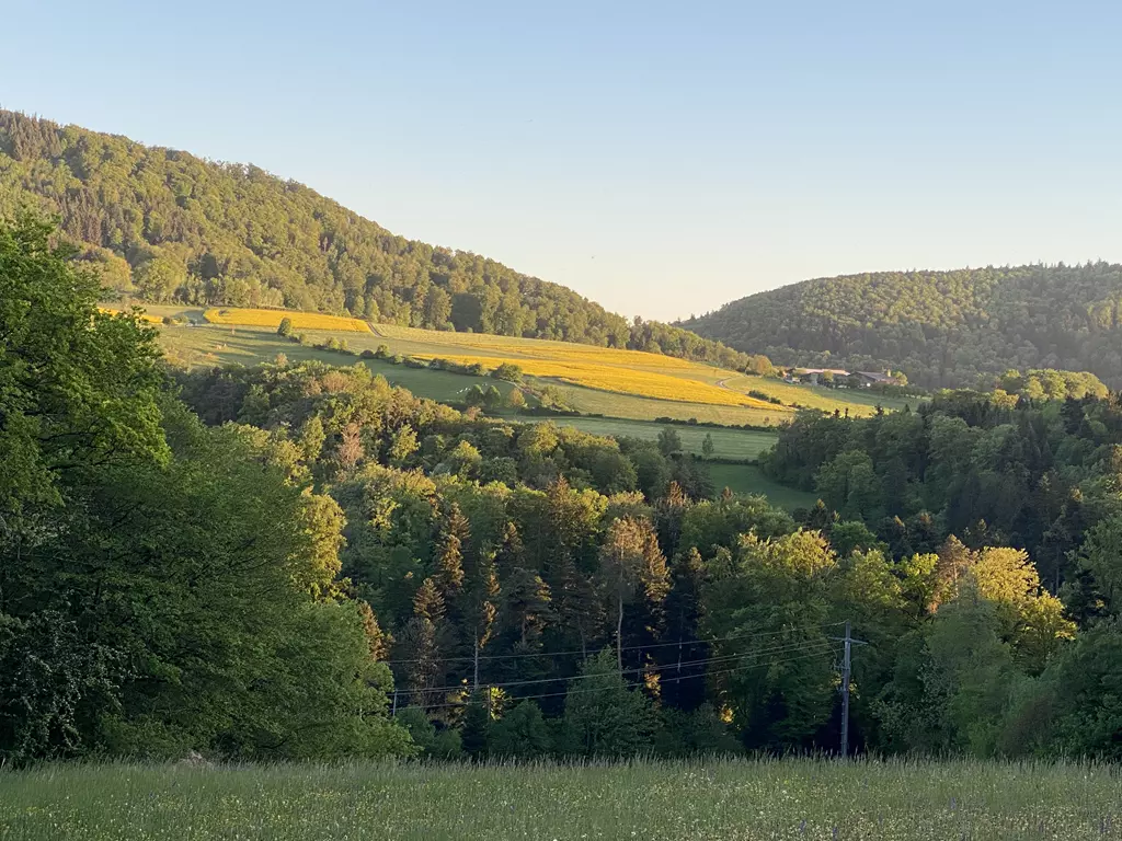 Wanderung durch die Vollmondnacht