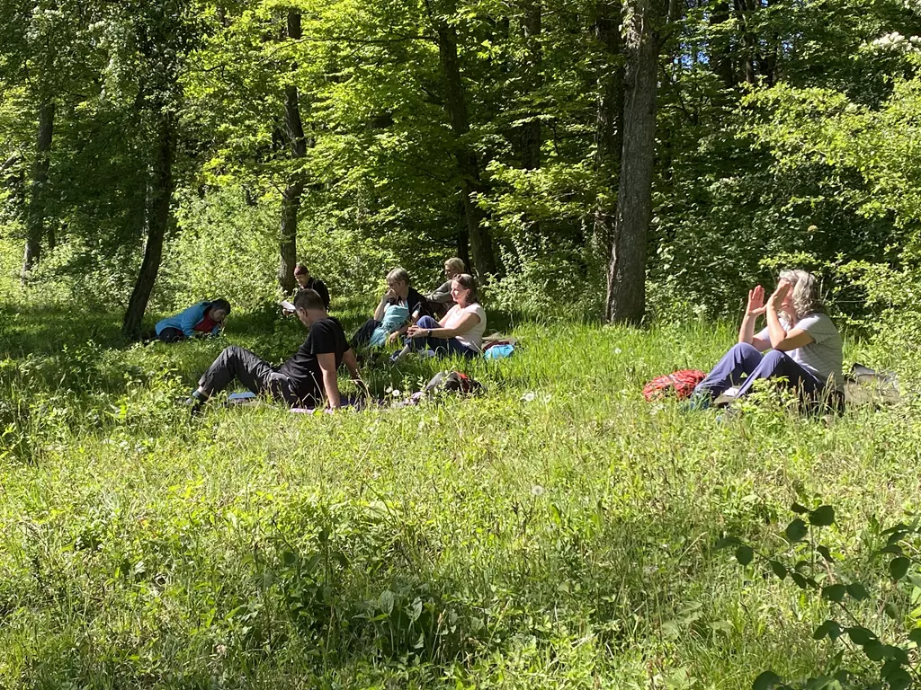 Meditation im Wald