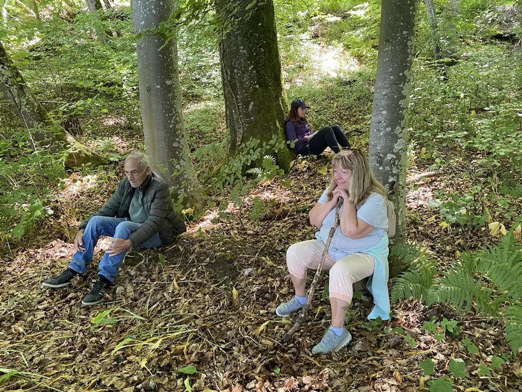 Kraft Baumwanderung juni