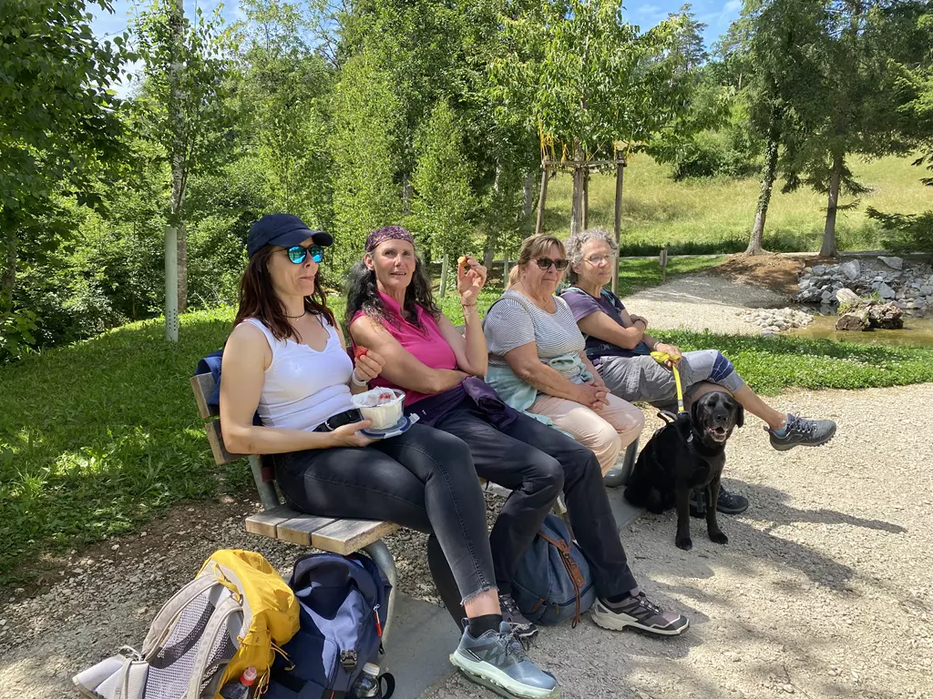 Baumwanderung juni