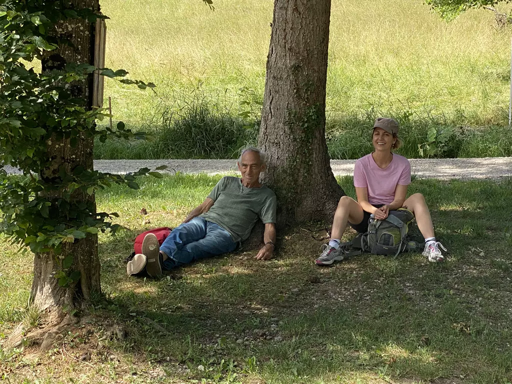 Baumwanderung juni