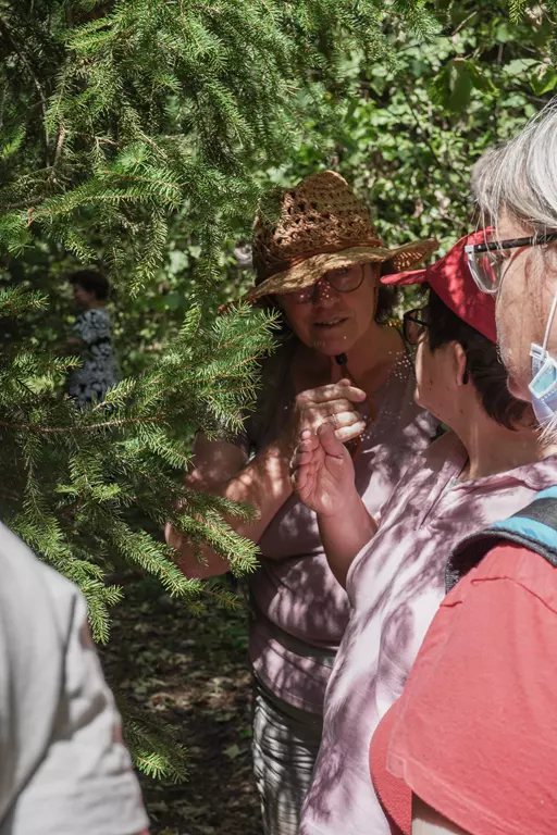 Waldbaden mit der Stiftung MBF