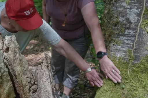 Waldbaden mit der Stiftung MBF
