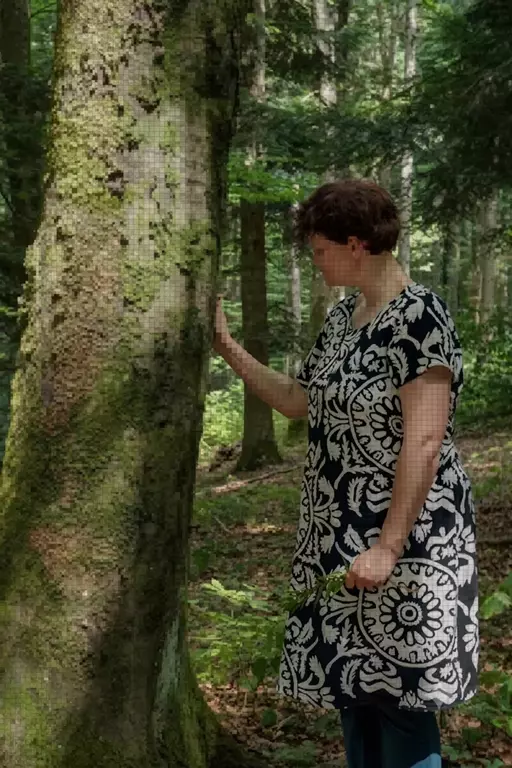 Am Boden im Wald