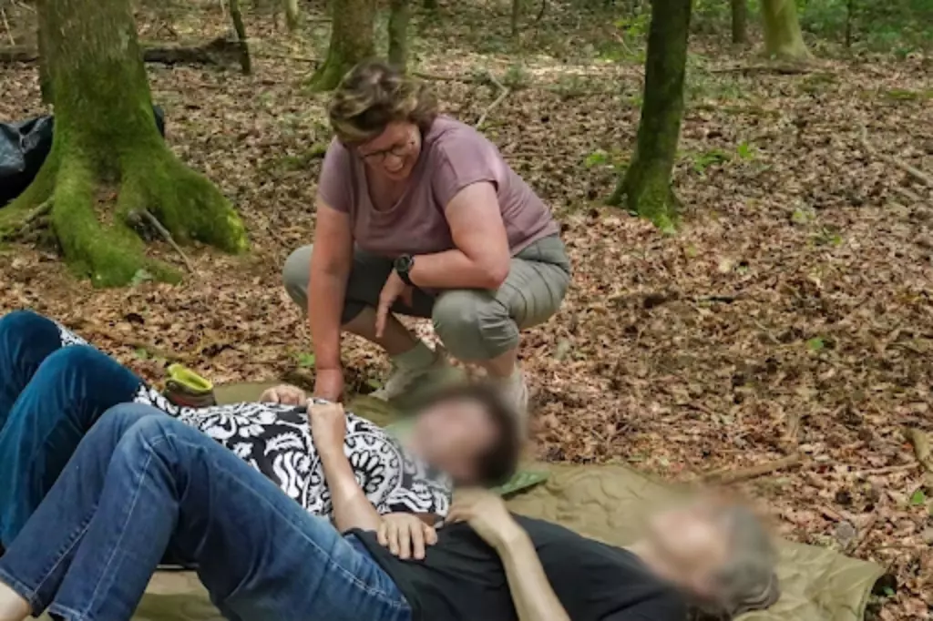 am Boden im Wald